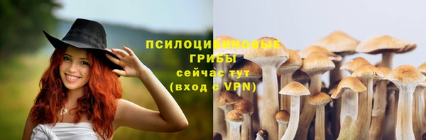 молекула духа Алексин