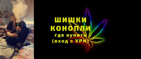 шишки Алзамай