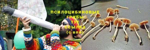 шишки Алзамай