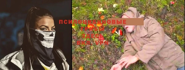 шишки Алзамай